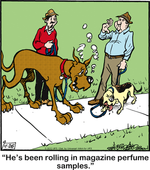 marmaduke